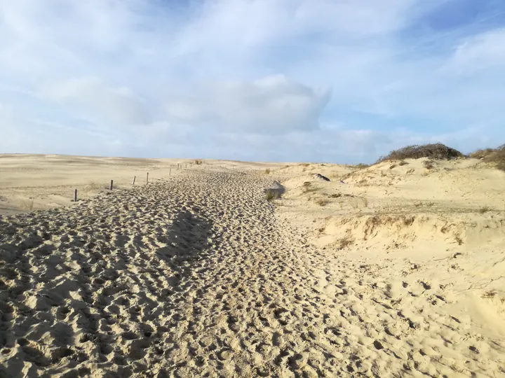 De Panne (België)